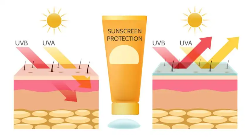 Tocotrienols powder Tocotrienols powder