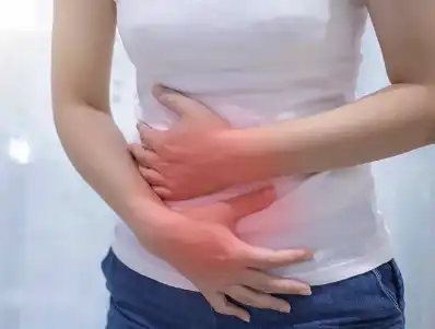 Olive Oil Powder Olive Oil Powder