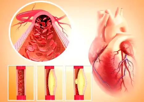 Conopeptide Powder Conopeptide Powder