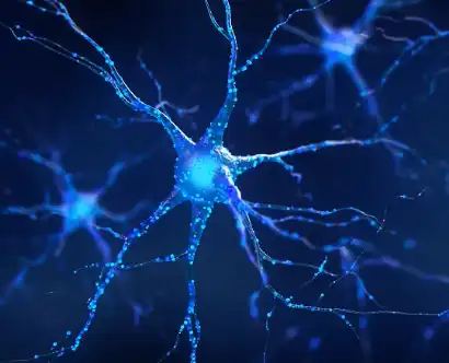 Conopeptide Powder Conopeptide Powder