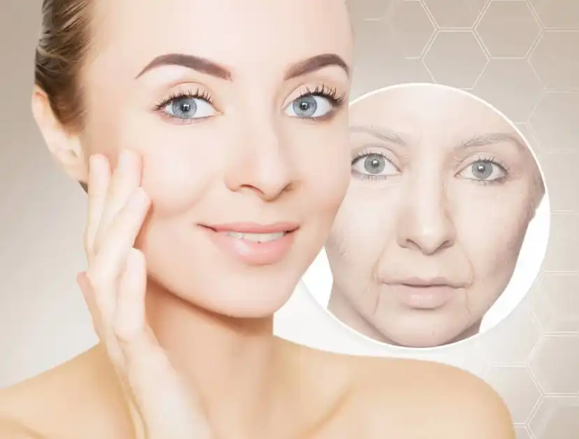 Idebenone Powder Idebenone Powder