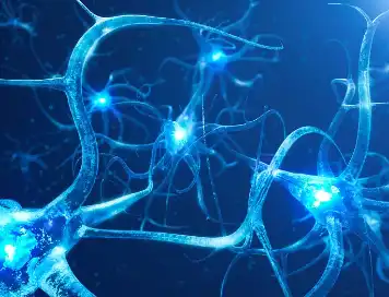 Liposomal Vitamin D3 Liposomal Vitamin D3