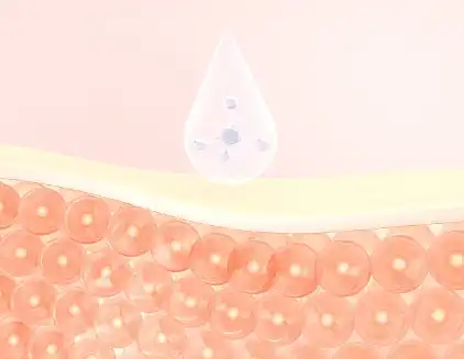 Hydrolyzed Bovine Collagen Powder Hydrolyzed Bovine Collagen Powder