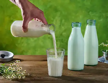 Bulk Hydrolyzed Whey Protein Bulk Hydrolyzed Whey Protein