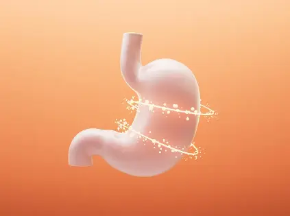 Bulk Hydrolyzed Whey Protein Bulk Hydrolyzed Whey Protein