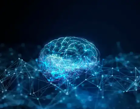 Flaxseed Oil Powder Flaxseed Oil Powder