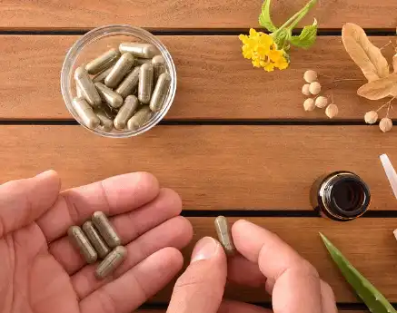 Flaxseed Oil Powder Flaxseed Oil Powder