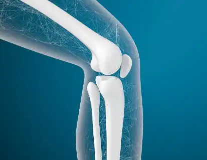 Soy Isolate Protein Soy Isolate Protein