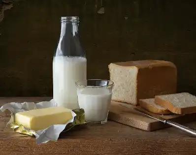 Soy Isolate Protein Soy Isolate Protein