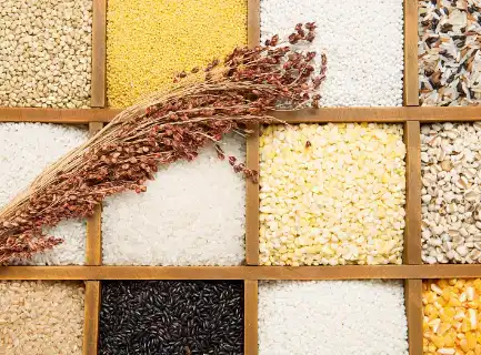 Gamma Oryzanol Powder Gamma Oryzanol Powder