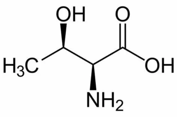 L-threonine powder