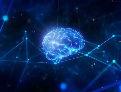 Acetyltyrosine Acetyltyrosine