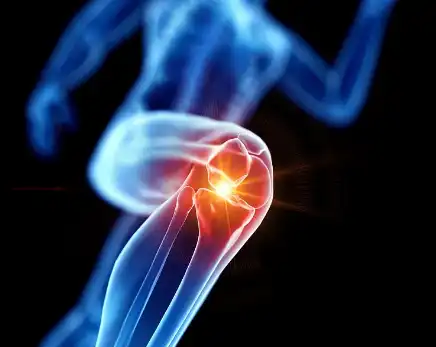 Bovine Chondroitin Sulfate Bovine Chondroitin Sulfate