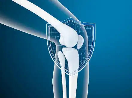 Bovine Chondroitin Sulfate Bovine Chondroitin Sulfate