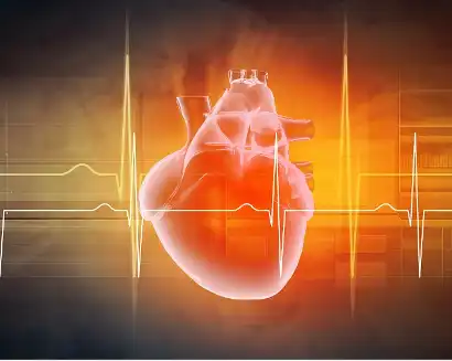 Calcium Pantothenate Powder Calcium Pantothenate Powder