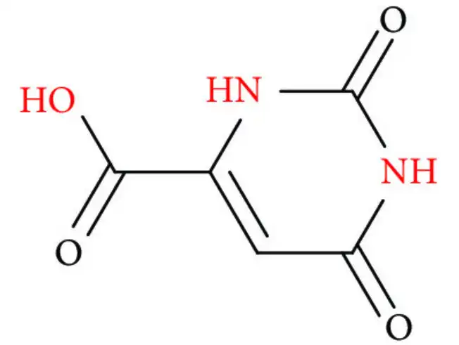 Orotic Acid Powder