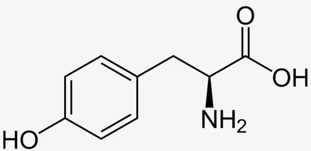 L-Tyrosine L-Tyrosine