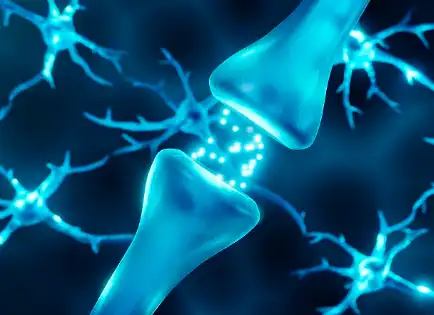 L-Tyrosine L-Tyrosine