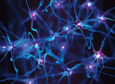 L-Tyrosine L-Tyrosine