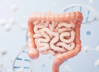 Tetrahydropiperine Tetrahydropiperine