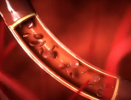 Shiitake Mushroom Powder Bulk Shiitake Mushroom Powder Bulk