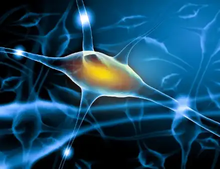 Lemongrass Extract Powder Lemongrass Extract Powder