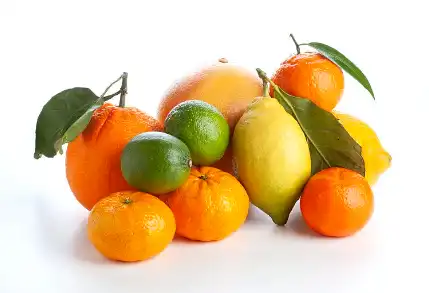 Citrus Flavonoids Citrus Flavonoids