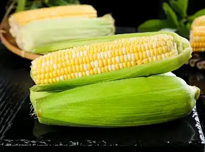 Zein Powder Zein Powder