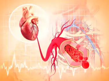 Zein Powder Zein Powder