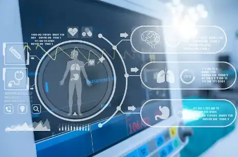 Bulk piperine Bulk piperine