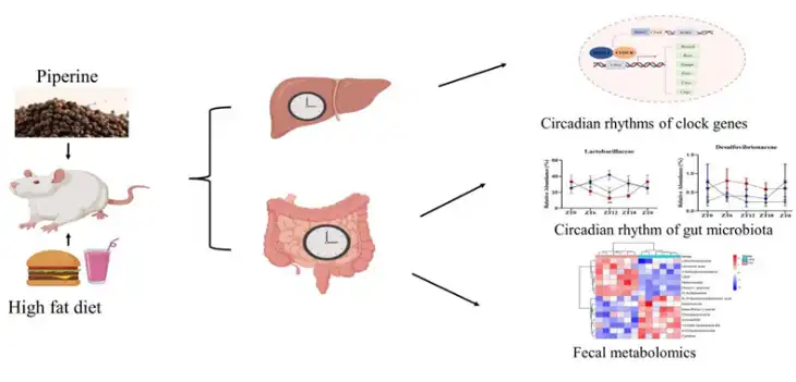 Bulk Piperine Bulk Piperine