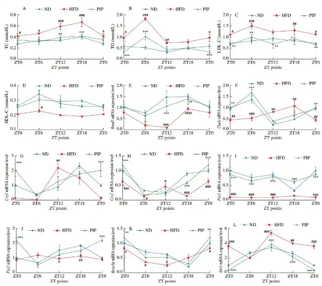 Bulk Piperine Bulk Piperine