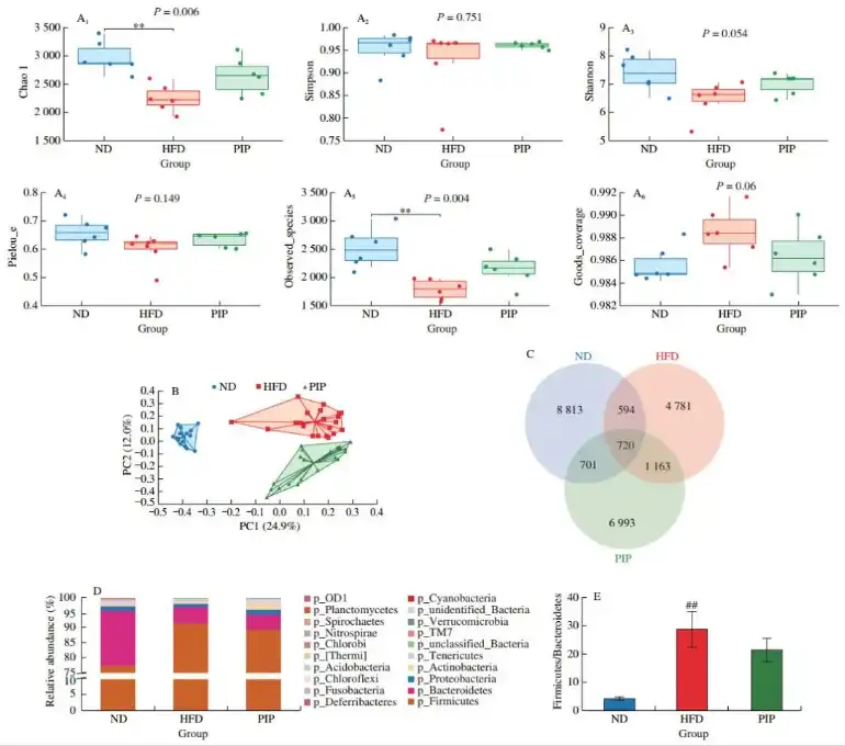Bulk Piperine Bulk Piperine
