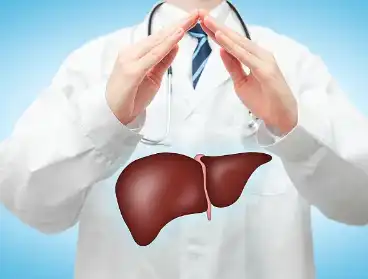 Organic Maitake Powder Organic Maitake Powder