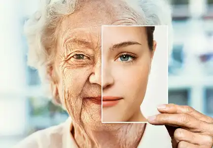 Coenzyme Q10 Powder Coenzyme Q10 Powder