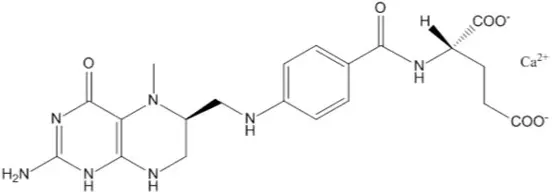 L-5-Methyltetrahydrofolate Calcium L-5-Methyltetrahydrofolate Calcium