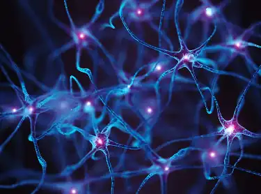 L-5-Methyltetrahydrofolate Calcium L-5-Methyltetrahydrofolate Calcium