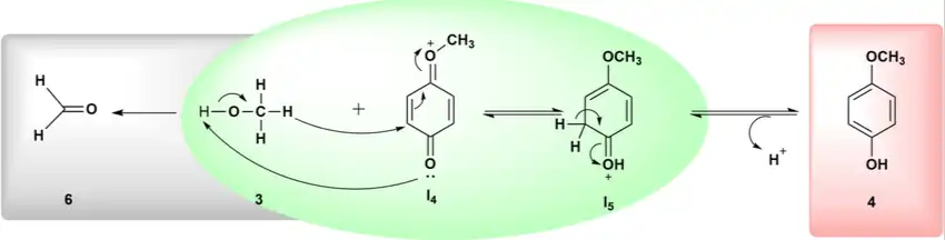 4-Methoxyphenol 4-Methoxyphenol