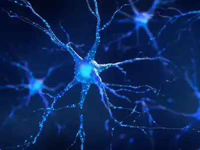 Lithium Orotate Powder Lithium Orotate Powder