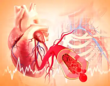 Vitamin B12 Liposomal Vitamin B12 Liposomal
