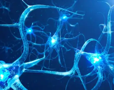 Brahmi Extract Brahmi Extract