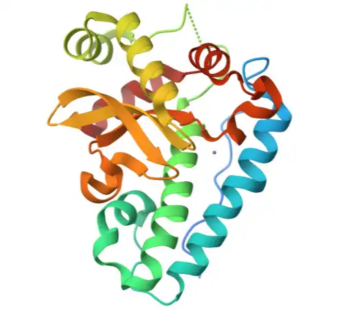 Superoxide Dismutase Powder Superoxide Dismutase Powder