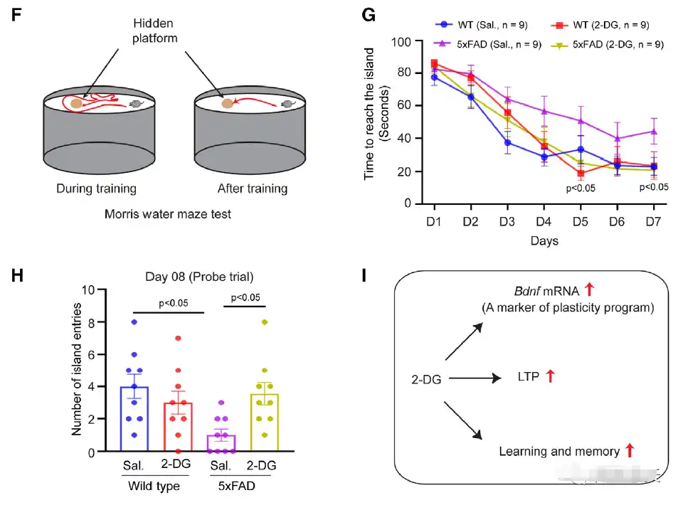 2-Deoxy-D-Glucose Powder 2-Deoxy-D-Glucose Powder