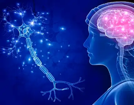 Huperzine A Powder Huperzine A Powder