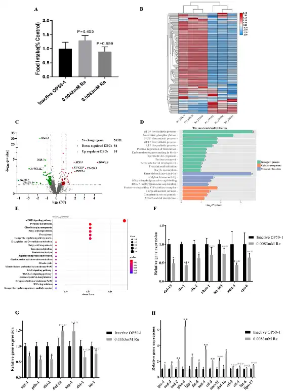 Rebaudioside A Powder Rebaudioside A Powder