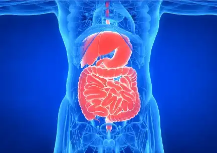 Konjac Gum Powder Konjac Gum Powder