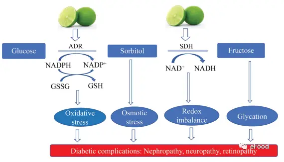 Lime Extract Powder Lime Extract Powder