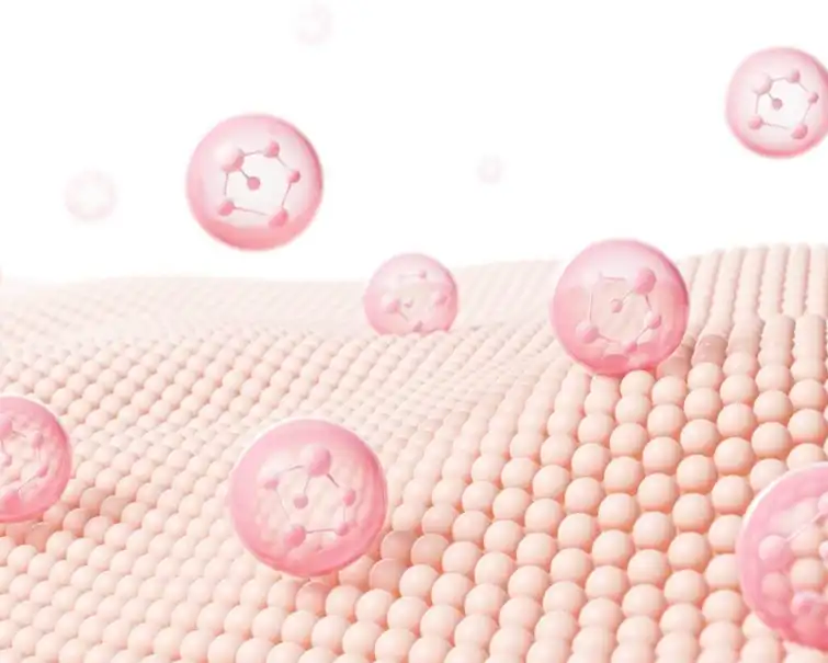 Lime Extract Powder Lime Extract Powder