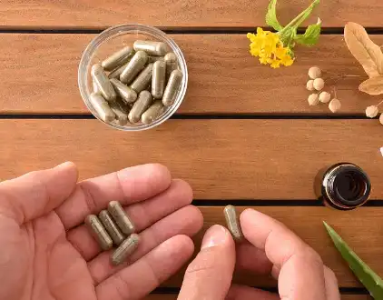 Black Cohosh Extract Black Cohosh Extract