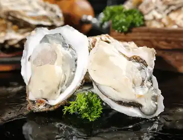 Oyster Powder Oyster Powder